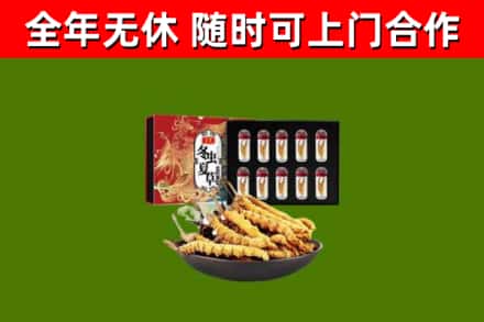 合肥回收冬虫夏草价格